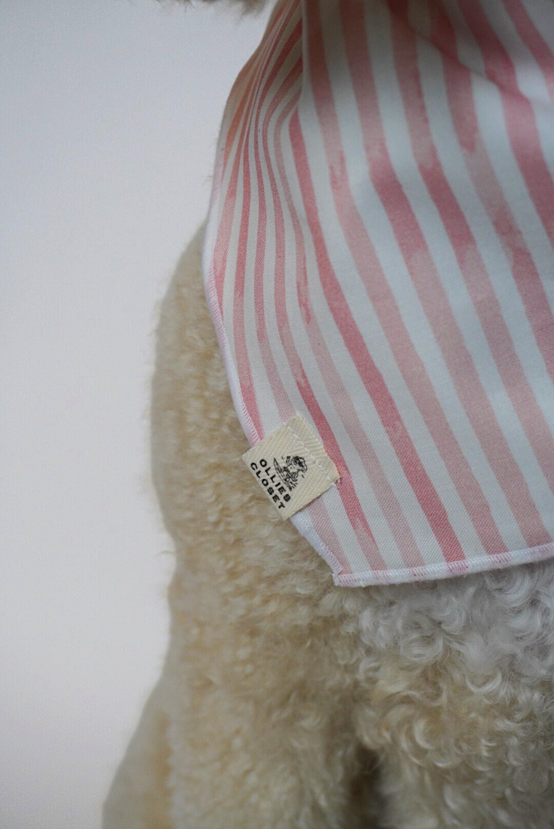 Pawradise Pink