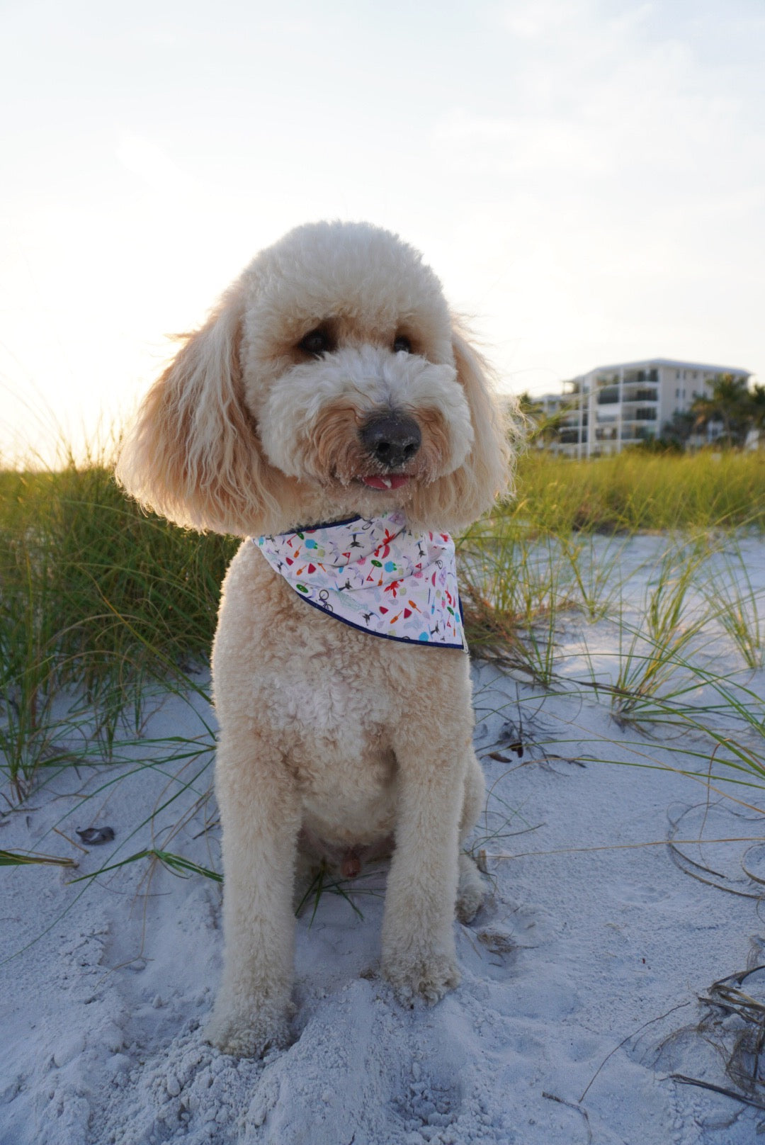 Coastal Tails